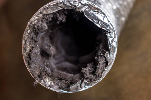 Best Air Duct Cleaning Near Me  in Pittsboro, NC