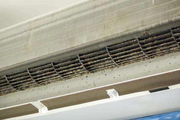 Best Best Air Duct Cleaning Company  in Pittsboro, NC
